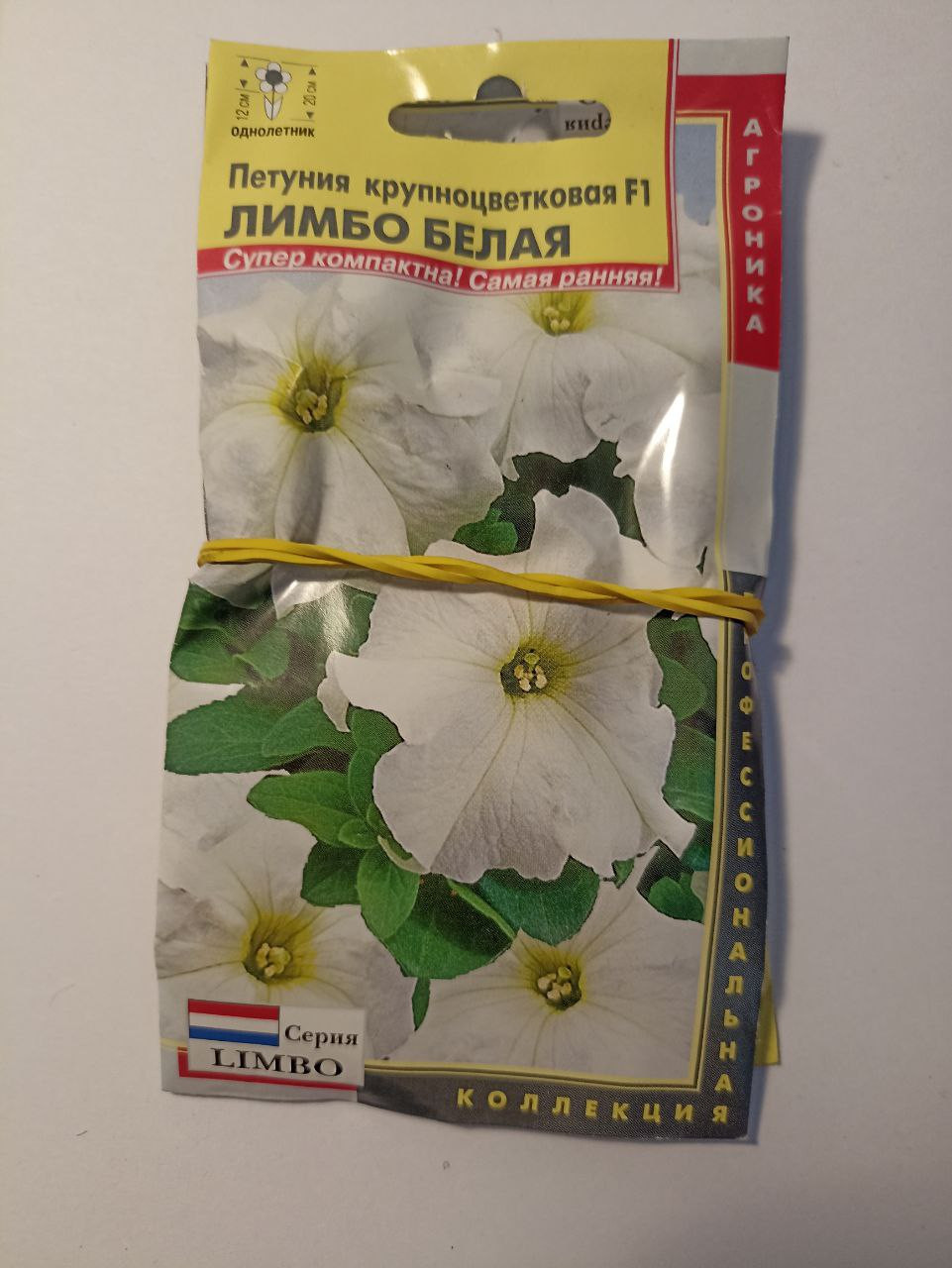  ,   12.23,   2 .jpg