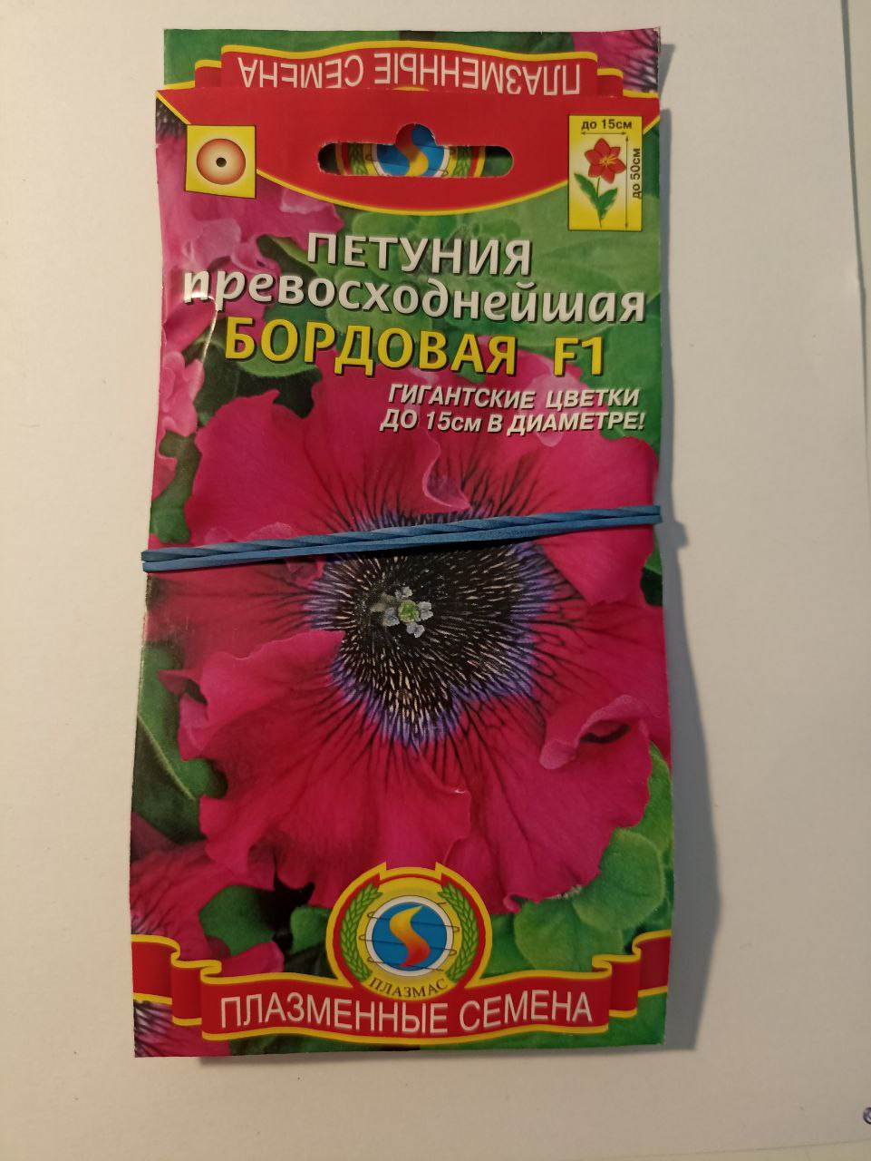 ,   12.23,   2 .jpg