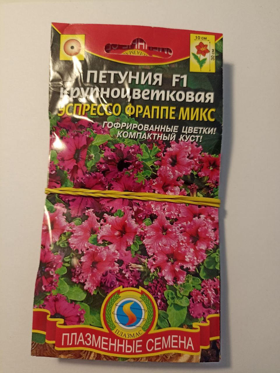   ,   12.23,   5 .jpg