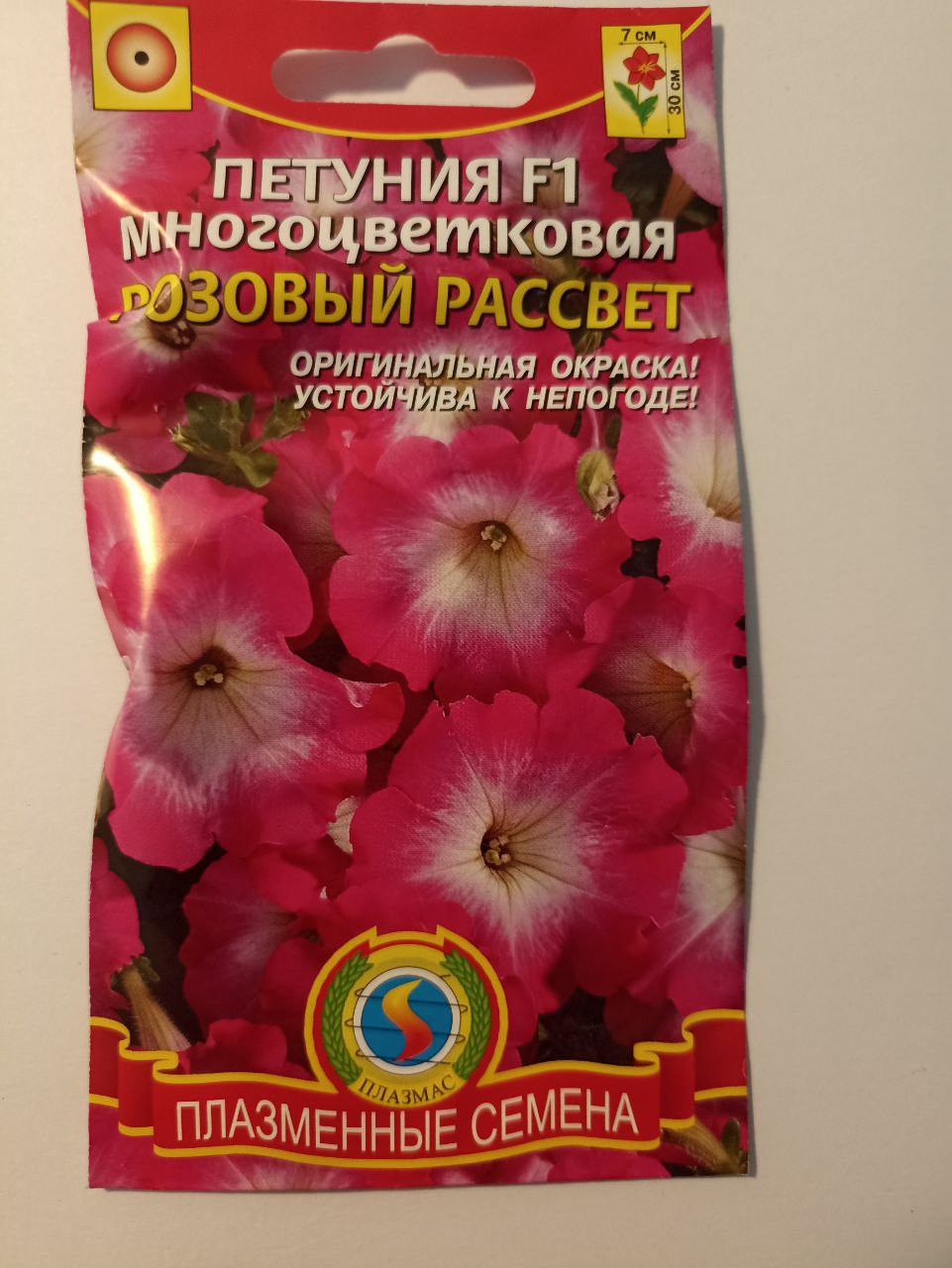  ,   12.23,   1 .jpg