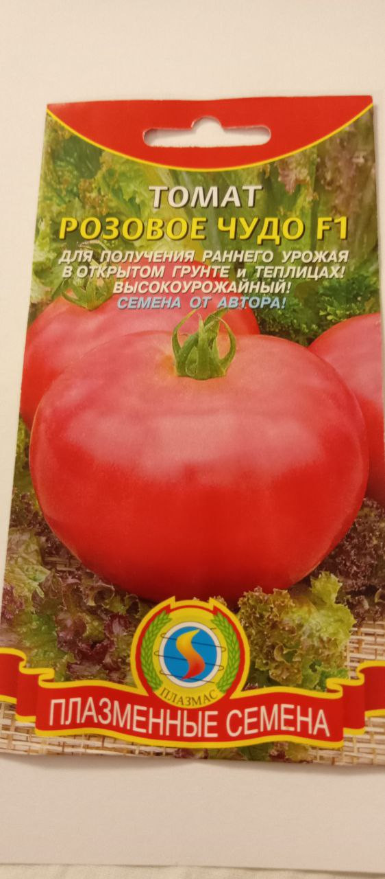  , ,  12.23,   4 .jpg