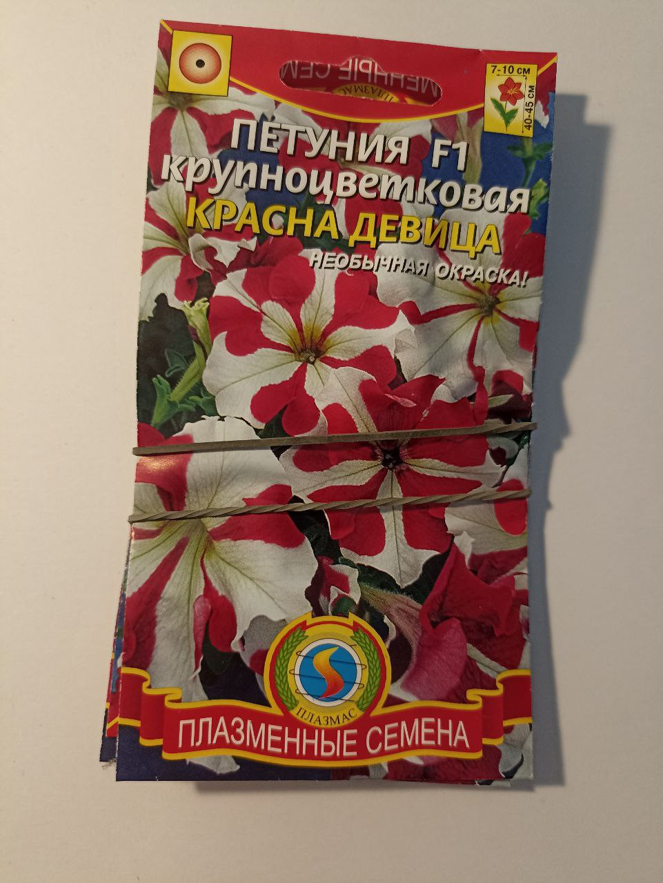  ,   12.24,   4 .jpg