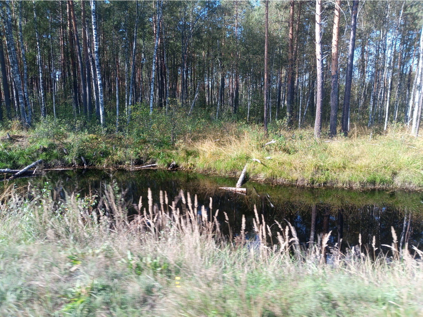 20240914   104213.jpg