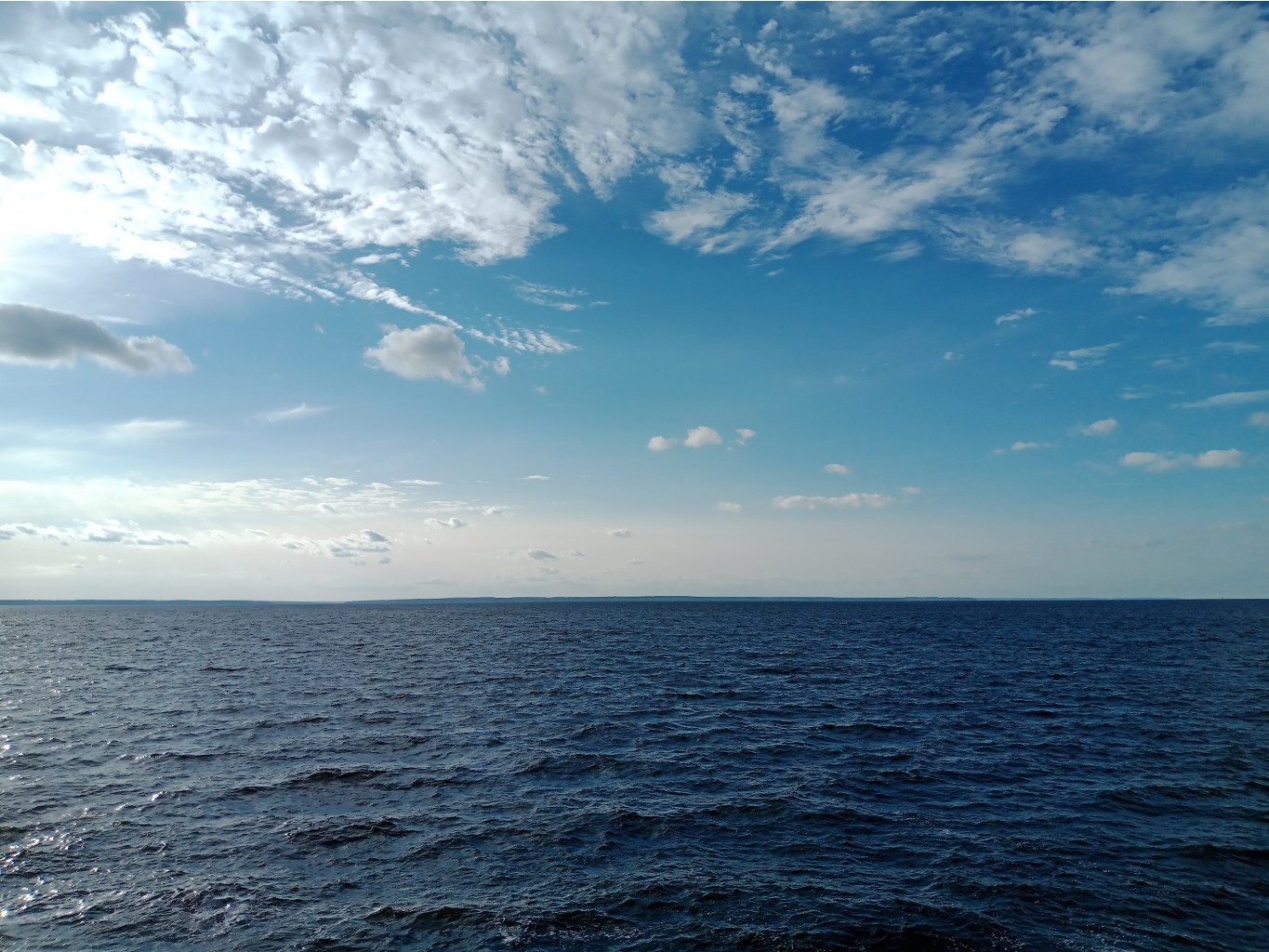 20240824 -300   170801.jpg