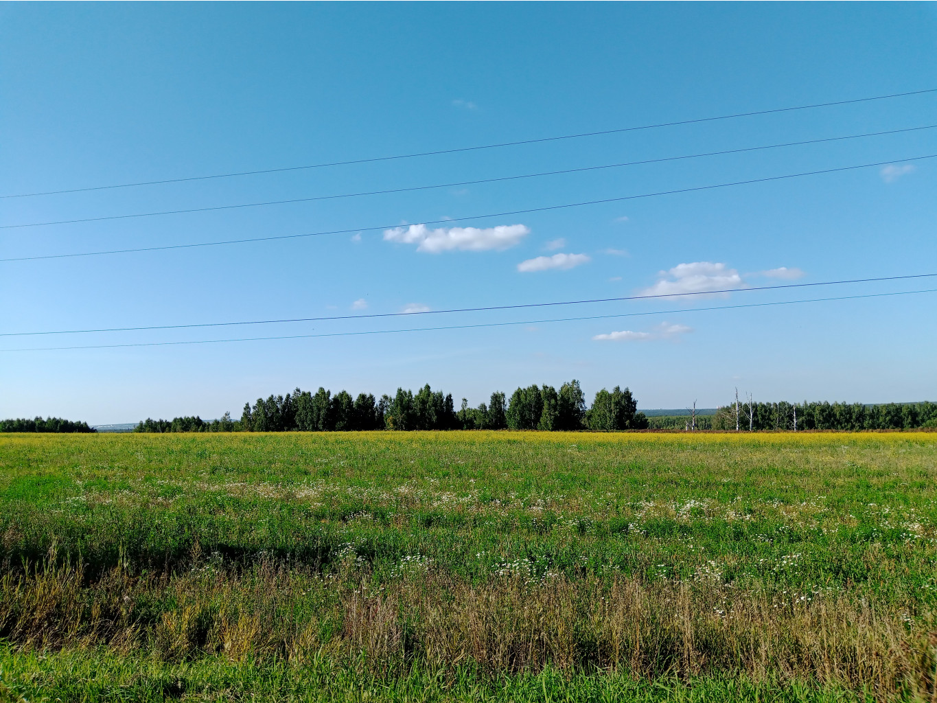 20240901 -ͣ- 153917.jpg
