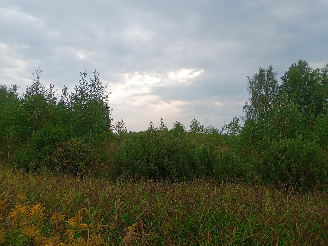 20240824 -300   080722.jpg