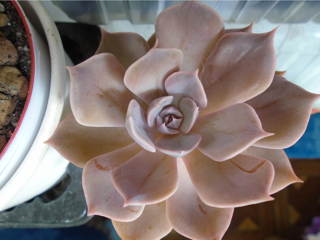 DSC08839.JPG   - 150, 200