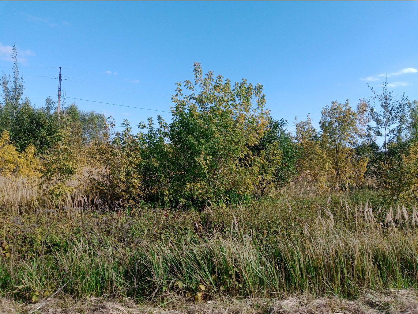20240914 Феликс Эдмундович 140656.jpg