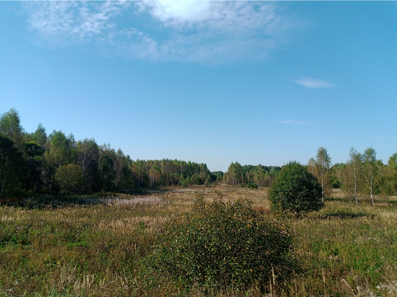 20240914   101747.jpg