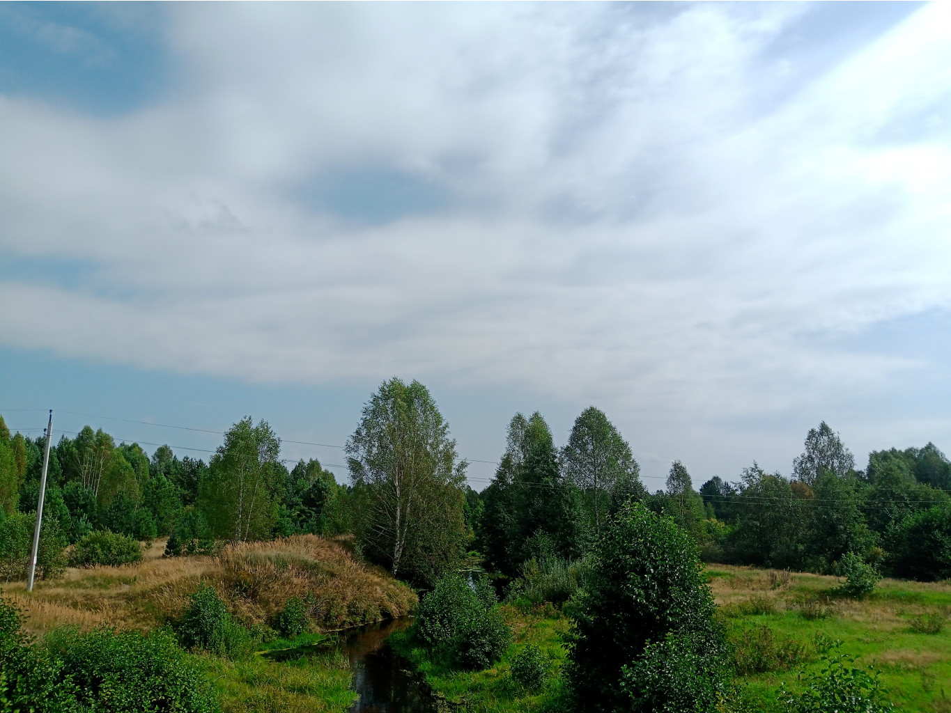 20240824 -300   113706.jpg