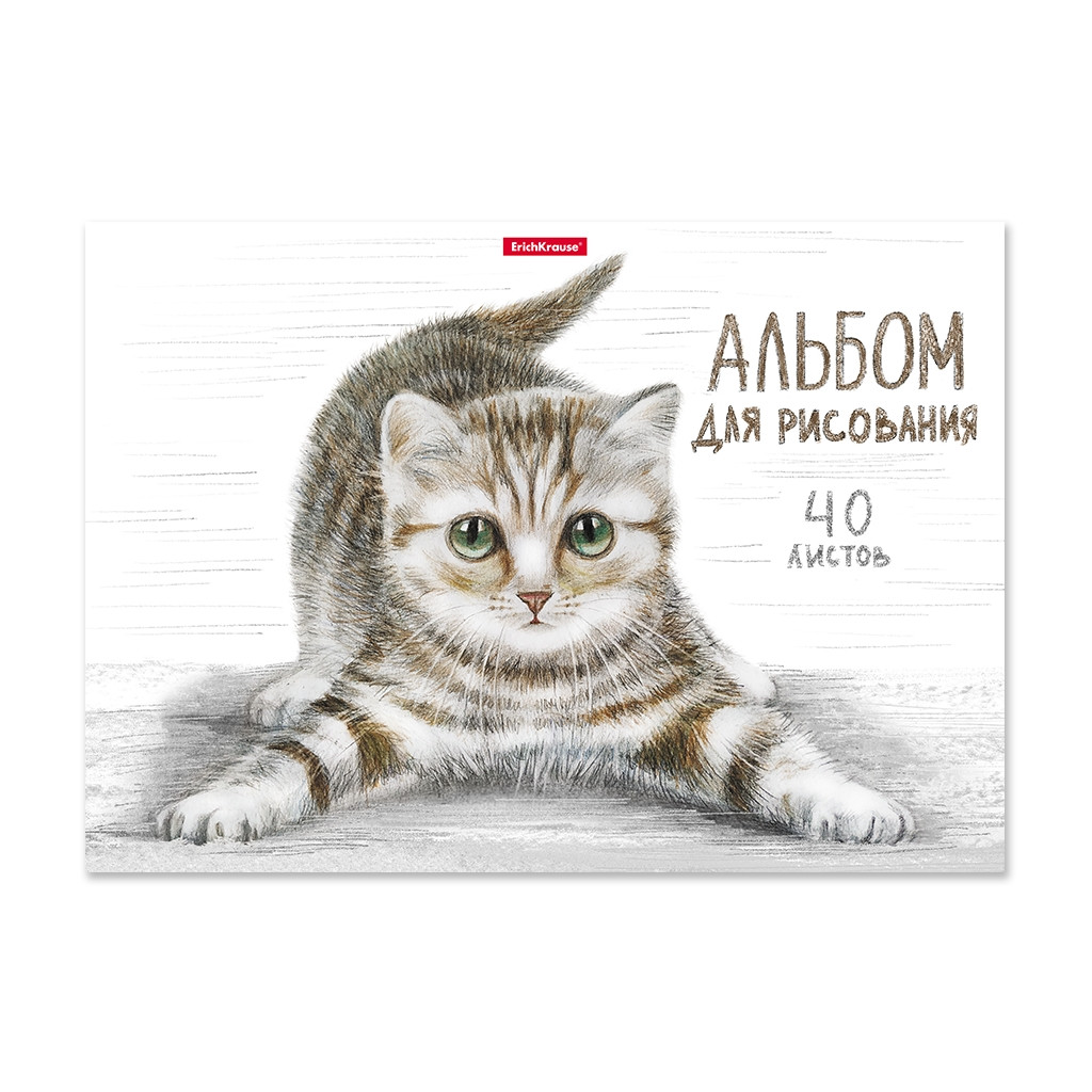 49844 Альбом для рисования на клею ErichKrause Tabby, А4, 40 листов Цена 134+% в наличии 12 шт.jpg