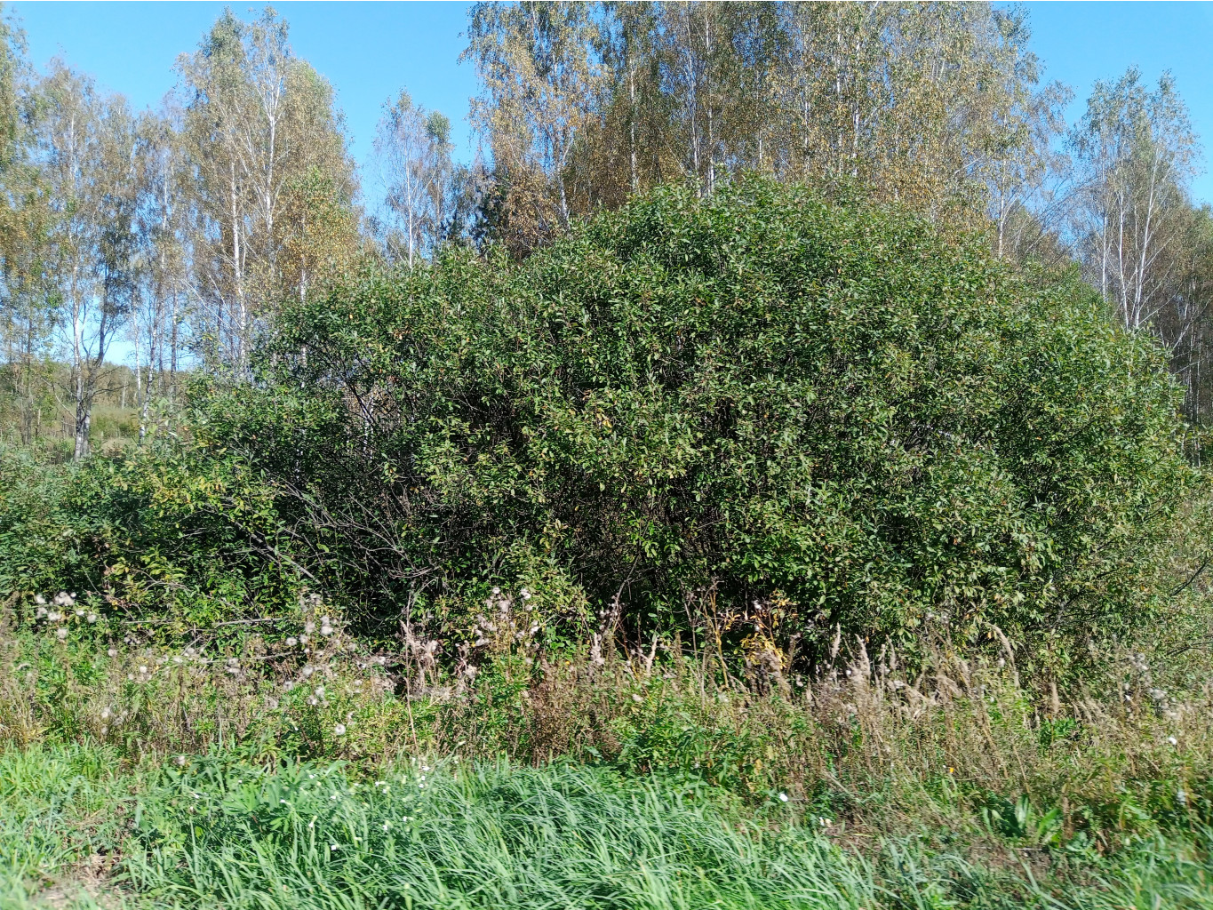 20240914 Феликс Эдмундович 123318.jpg
