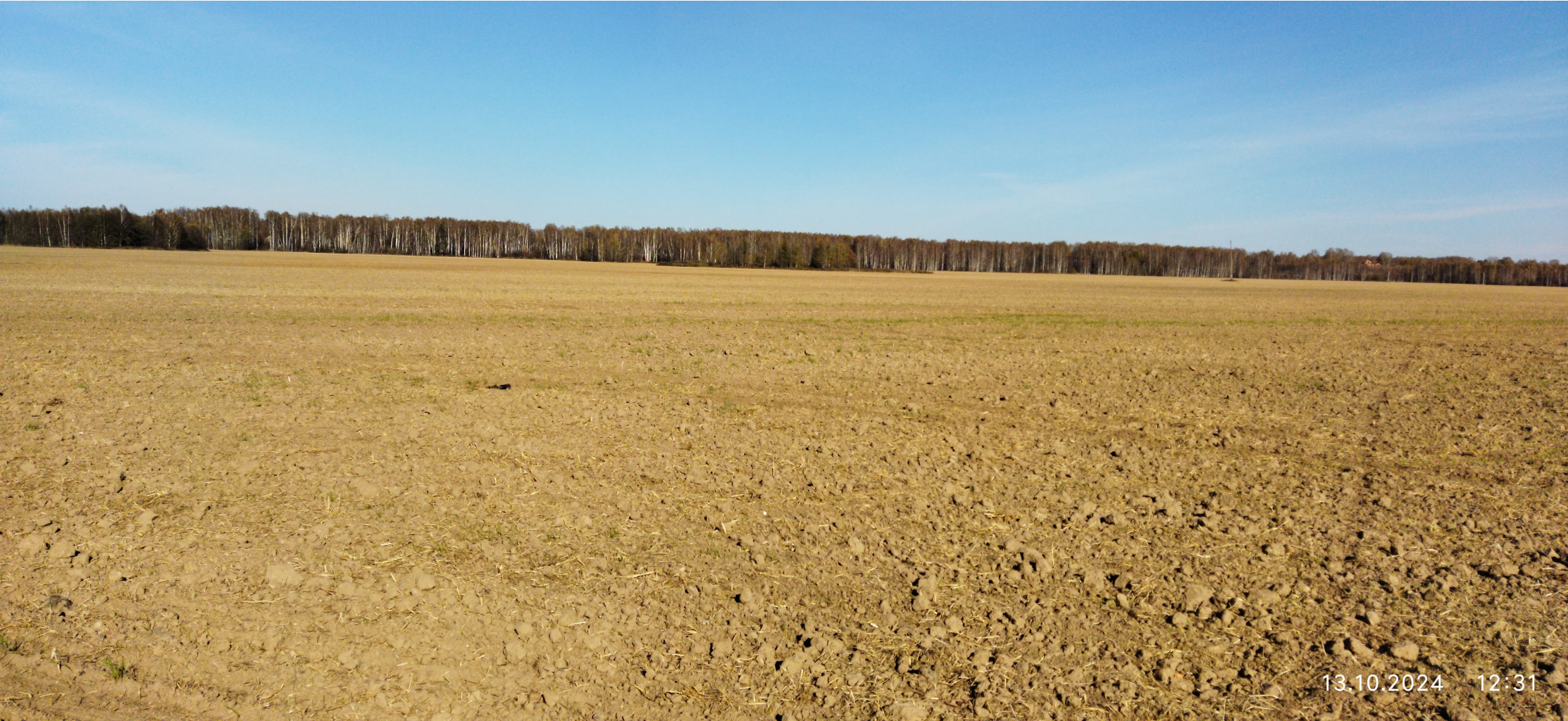 IMG 20241013 123119.jpg