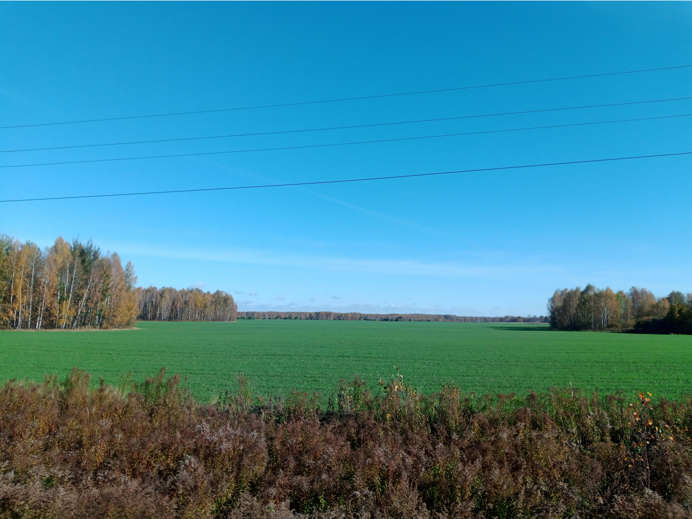 20241006 -  111142.jpg