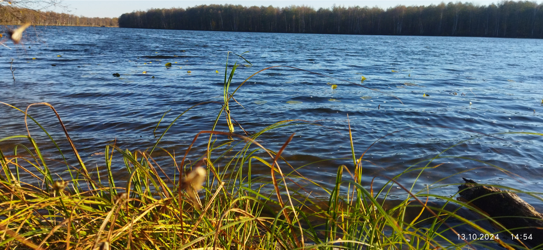 IMG 20241013 145453 1.jpg