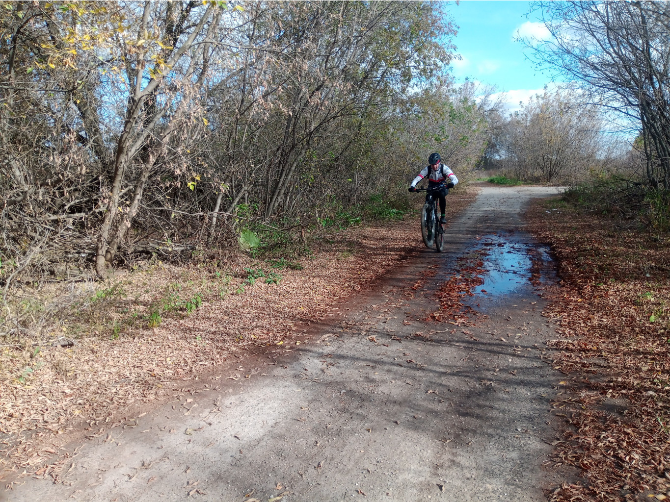 20241006 -  122341.jpg