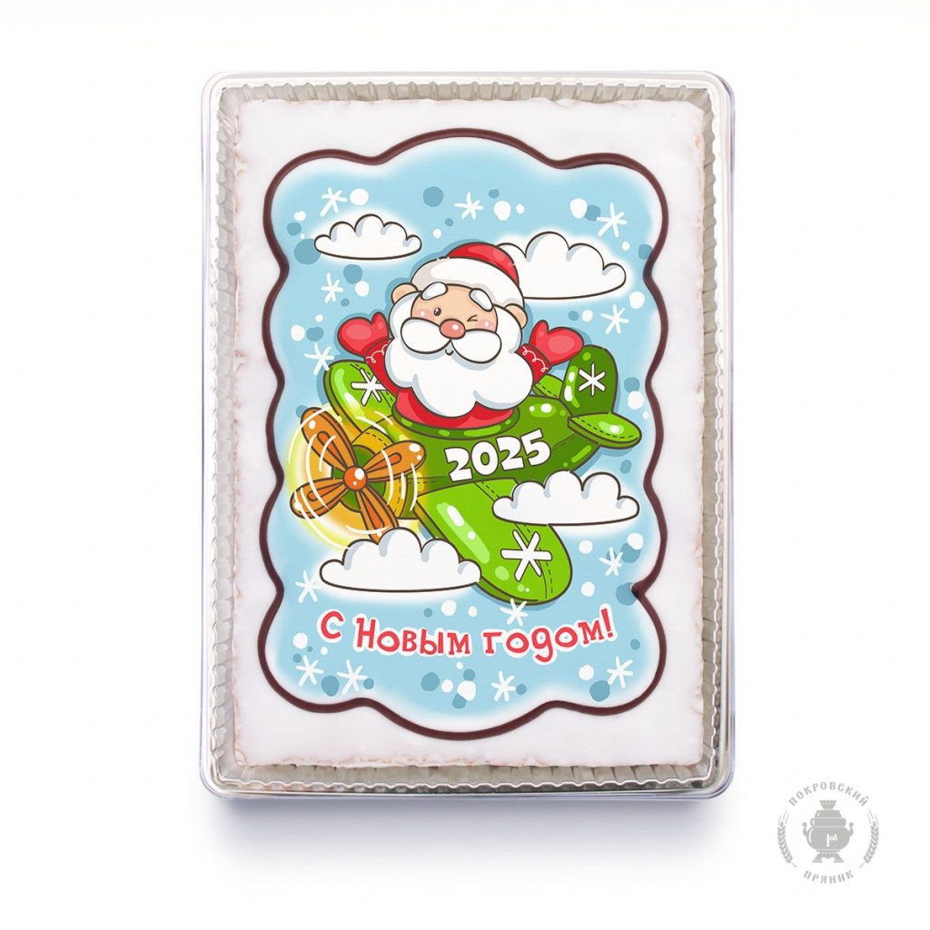 600 928 . ded-moroz-na-samolete-600-gramm-plastikovaya-upakovka-3788-B.jpg