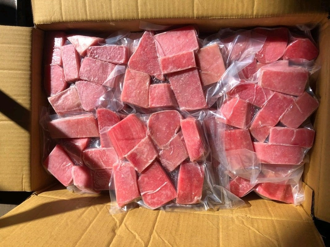   500  -  450 .jpg