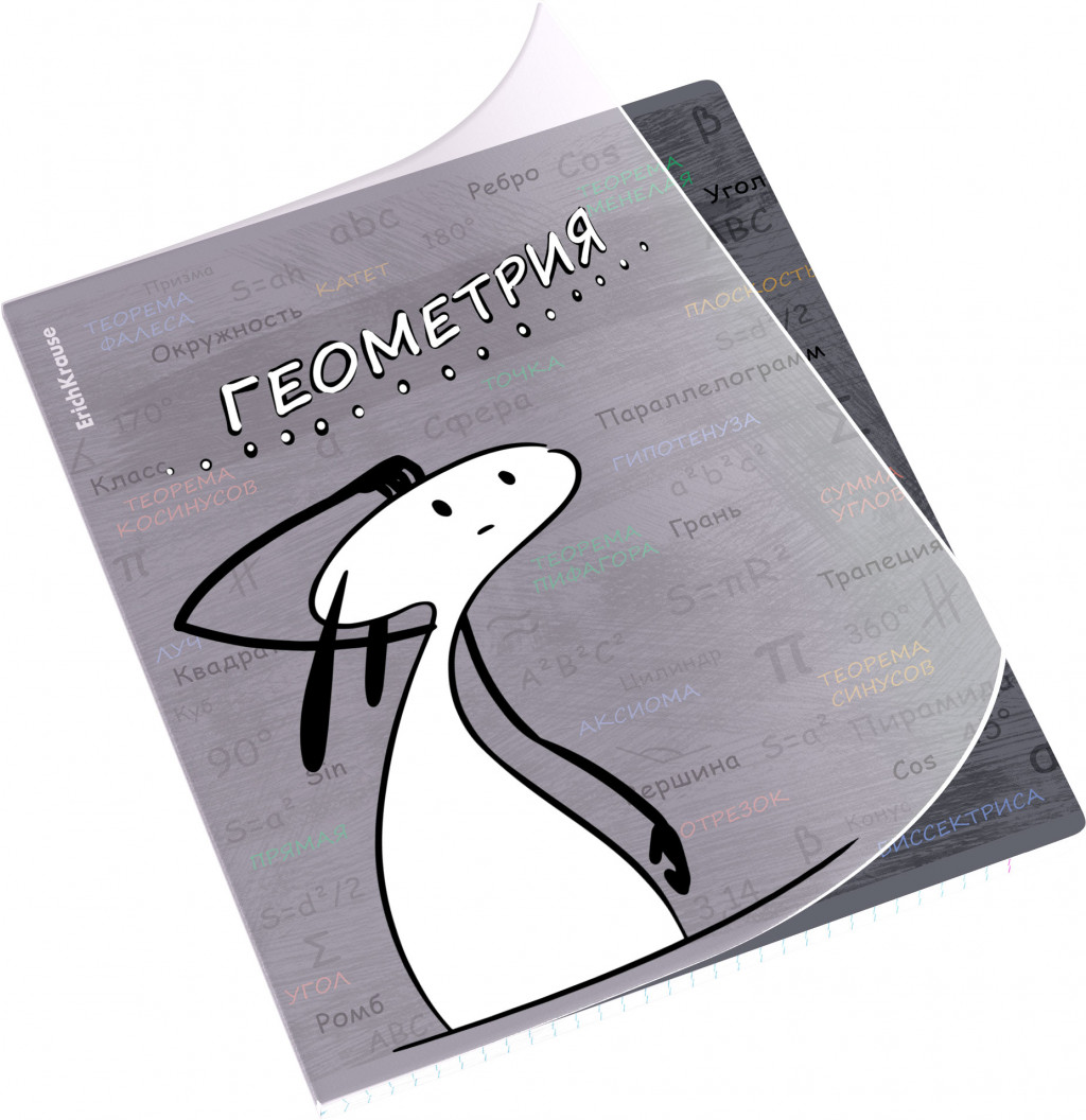 59471 Тетрадь общая ученическая с пластиковой обложкой на скобе ErichKrause Чубрик, Геометрия, 48 листов, клетка Цена 67,4+% в наличии 2 шт.jpg