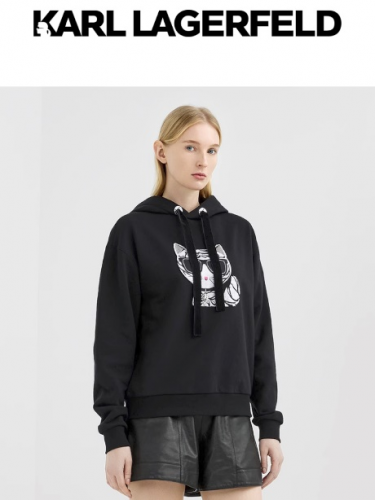 4390+18% +    Karl Lagerfeld 543 