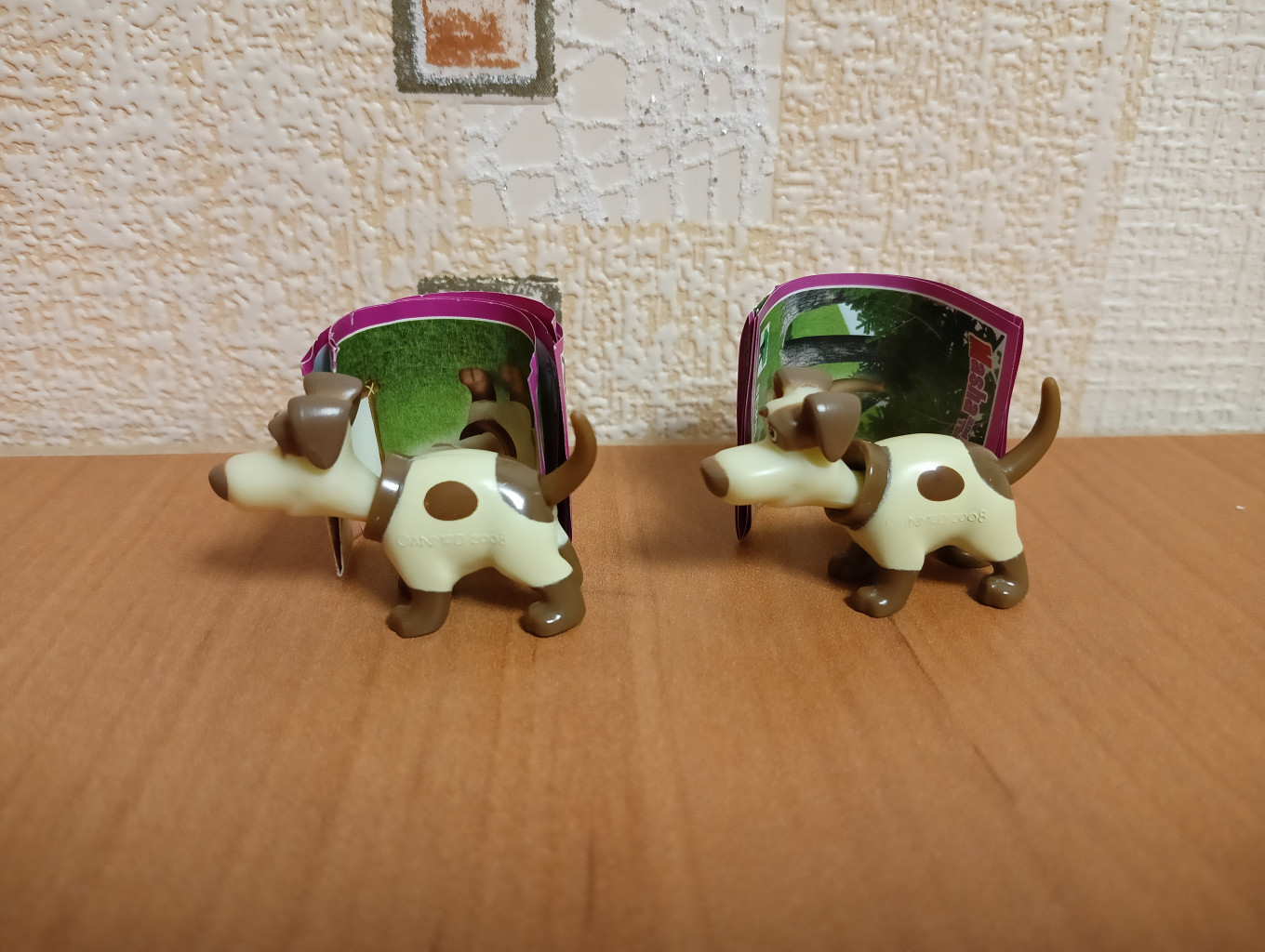 IMG20250121185812.jpg