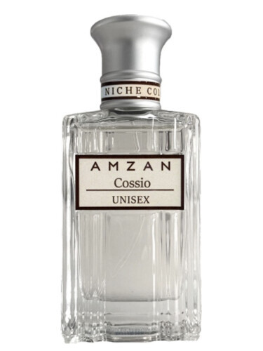 Amzan Cossio edp