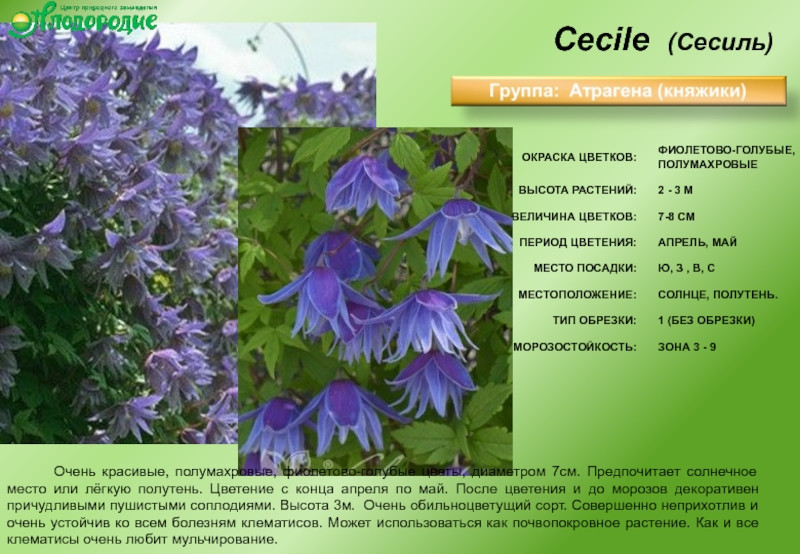 E11cda0ab9bd4cb0193a44c5b8097417-800x.jpg