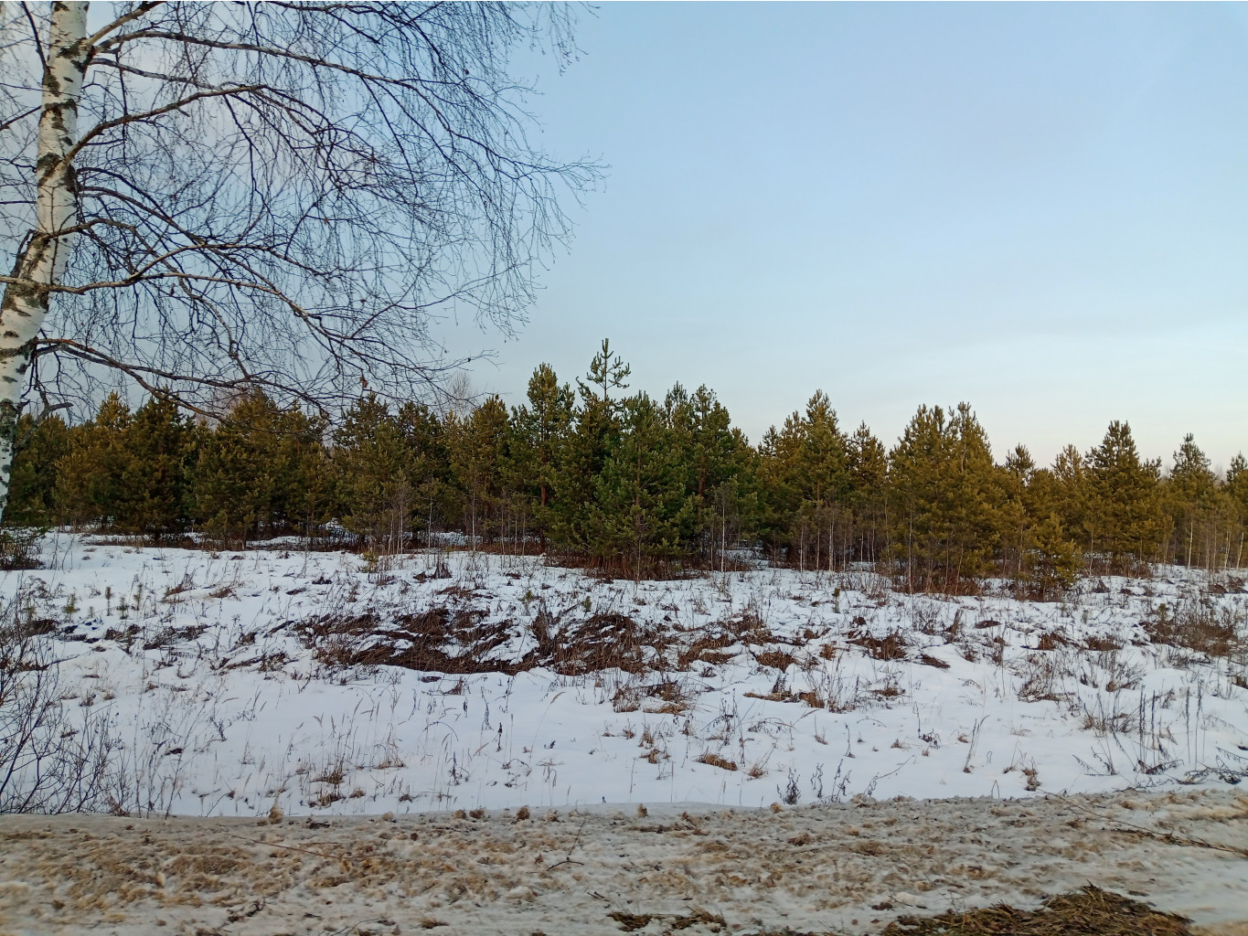20250301 -200   153631.jpg