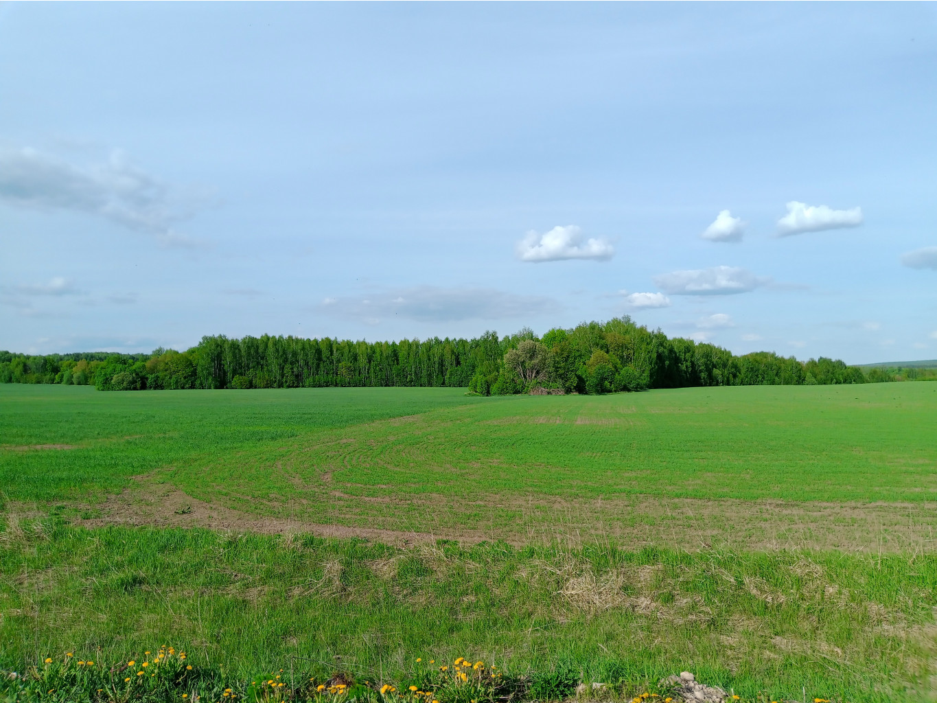 20250517 -300  56 163021.jpg