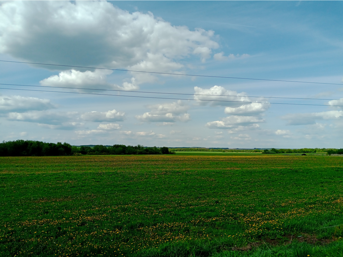 20250517 Бревет-300 Пьянский 56 151113.jpg