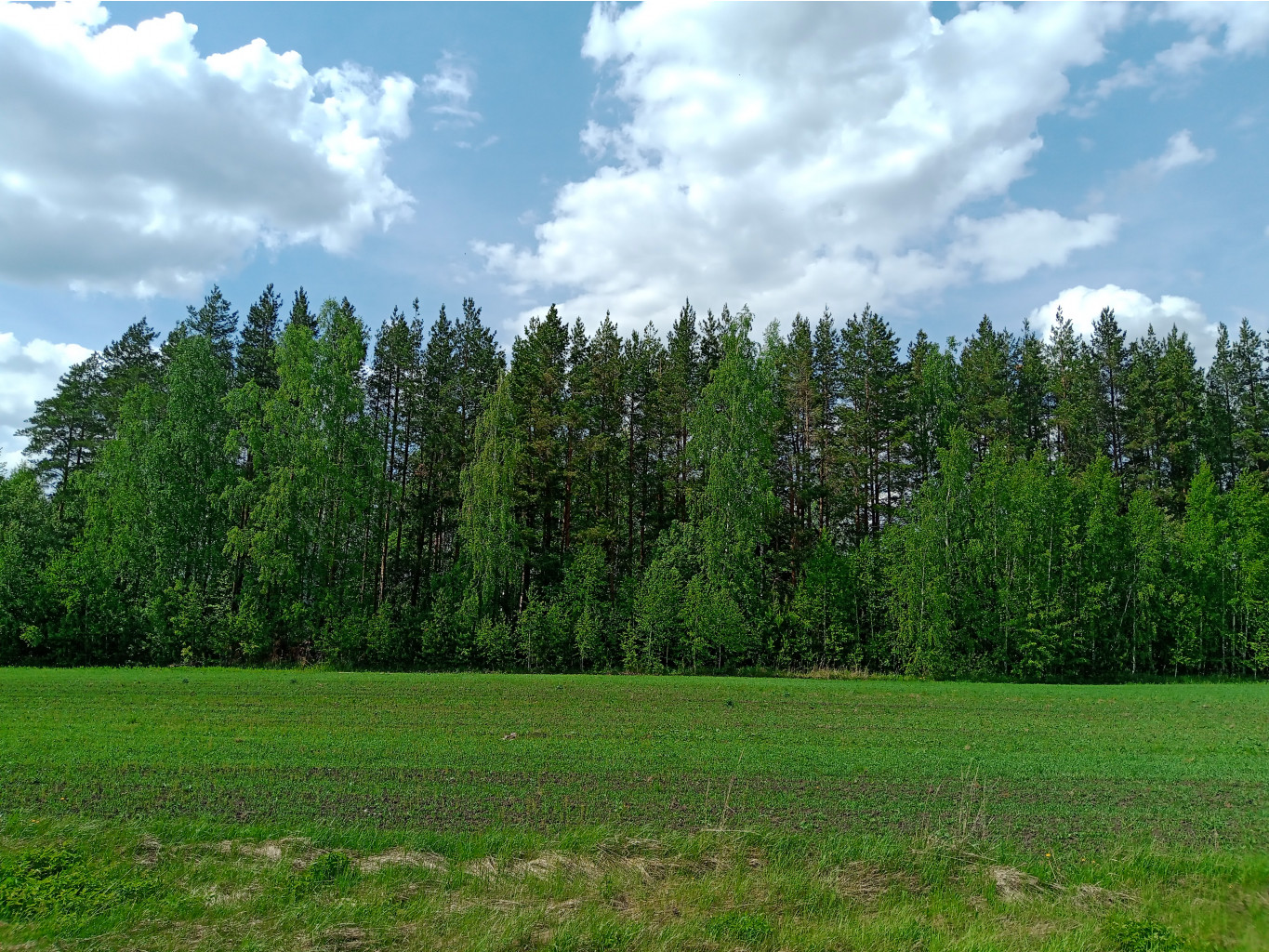 20250517 Бревет-300 Пьянский 56 132114.jpg