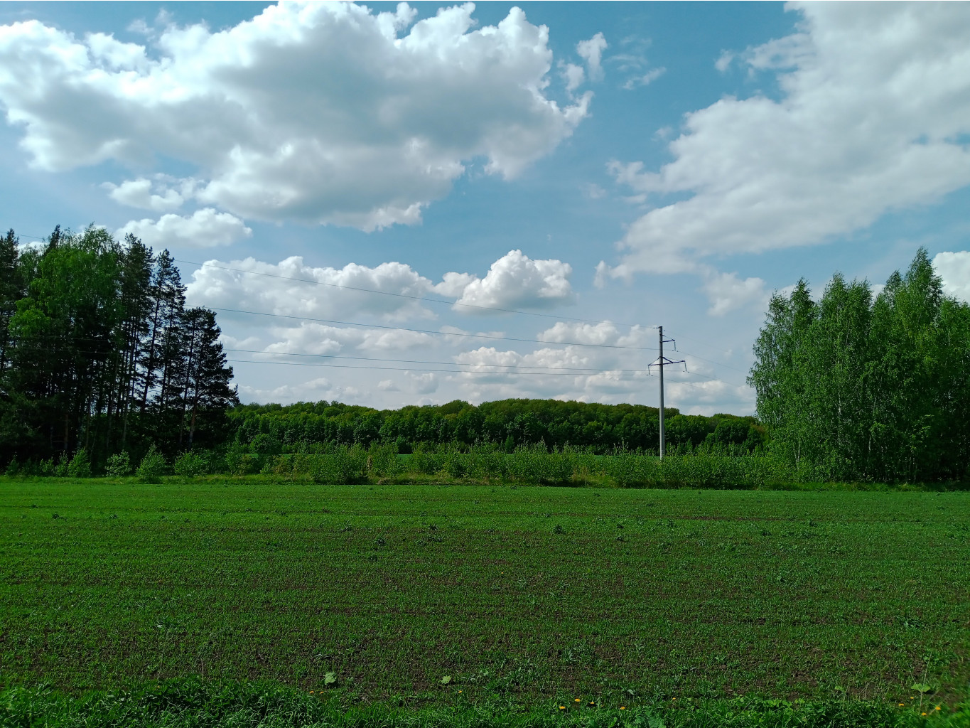 20250517 -300  56 132226.jpg
