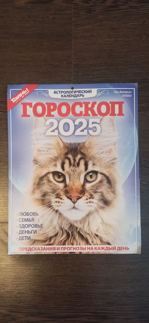  2025      (  )