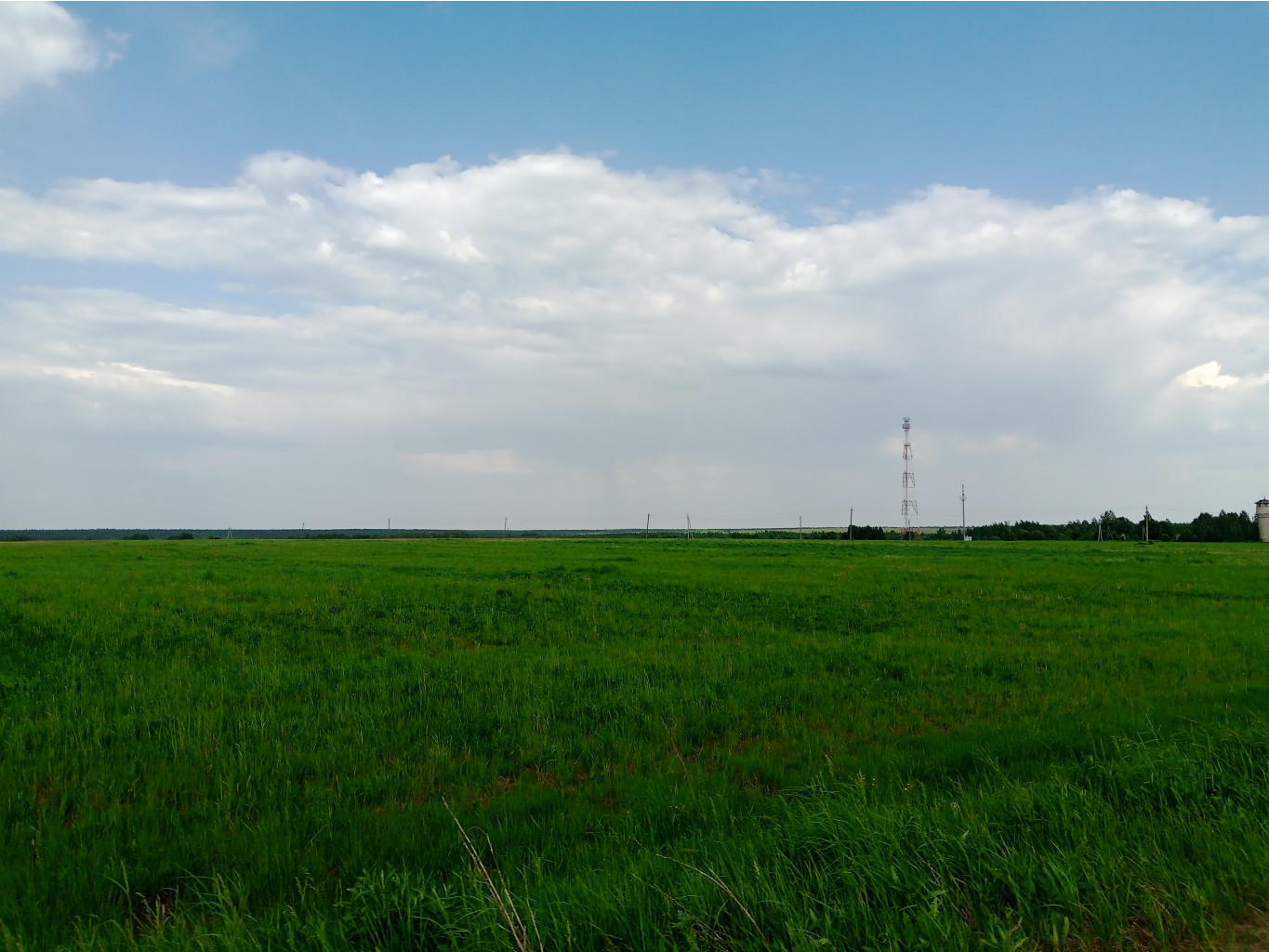 20250531 -400  152245.jpg