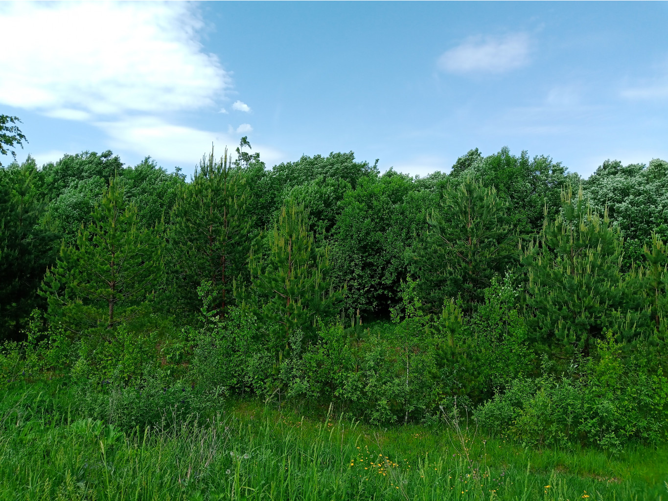 20250531 -400  131455.jpg
