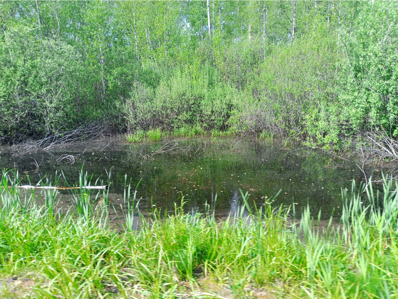 20250531 -400  133921.jpg