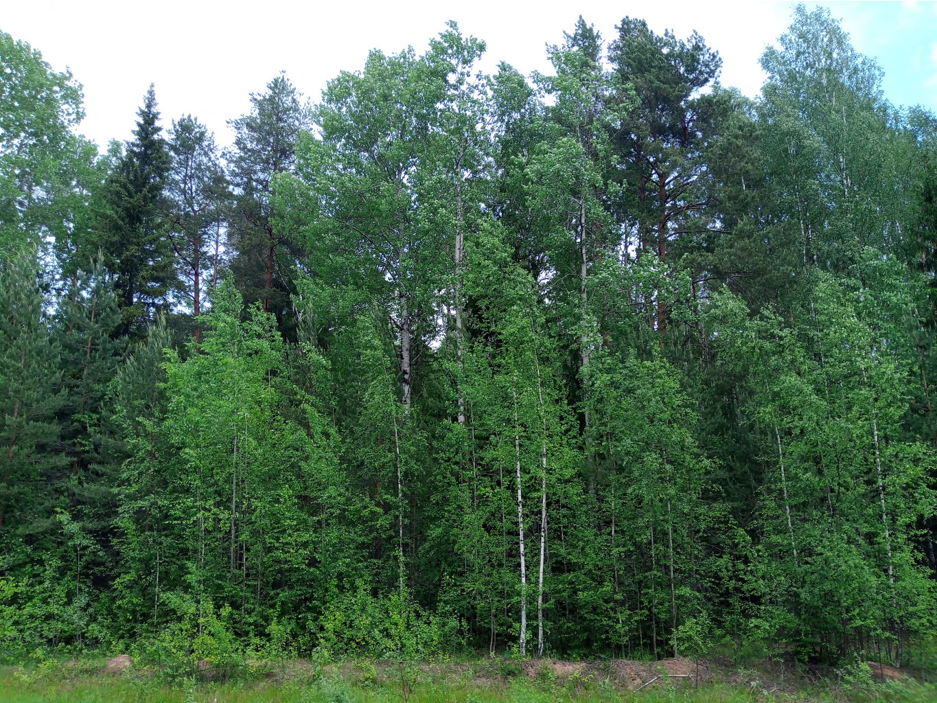 20250531 -400  121851.jpg