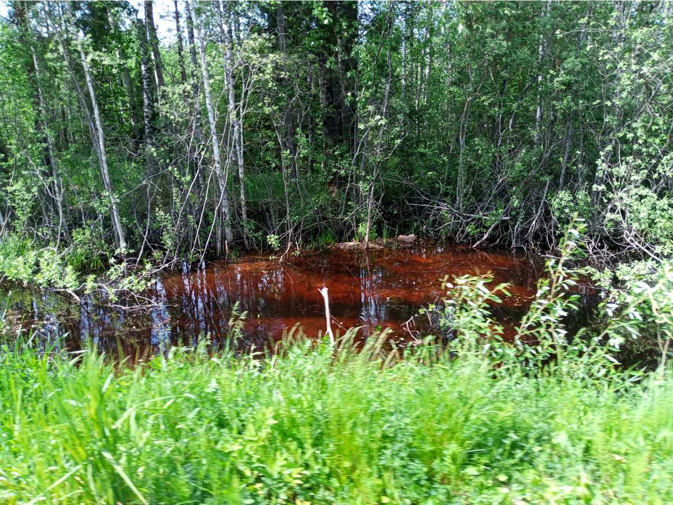 20250531 -400  133927.jpg