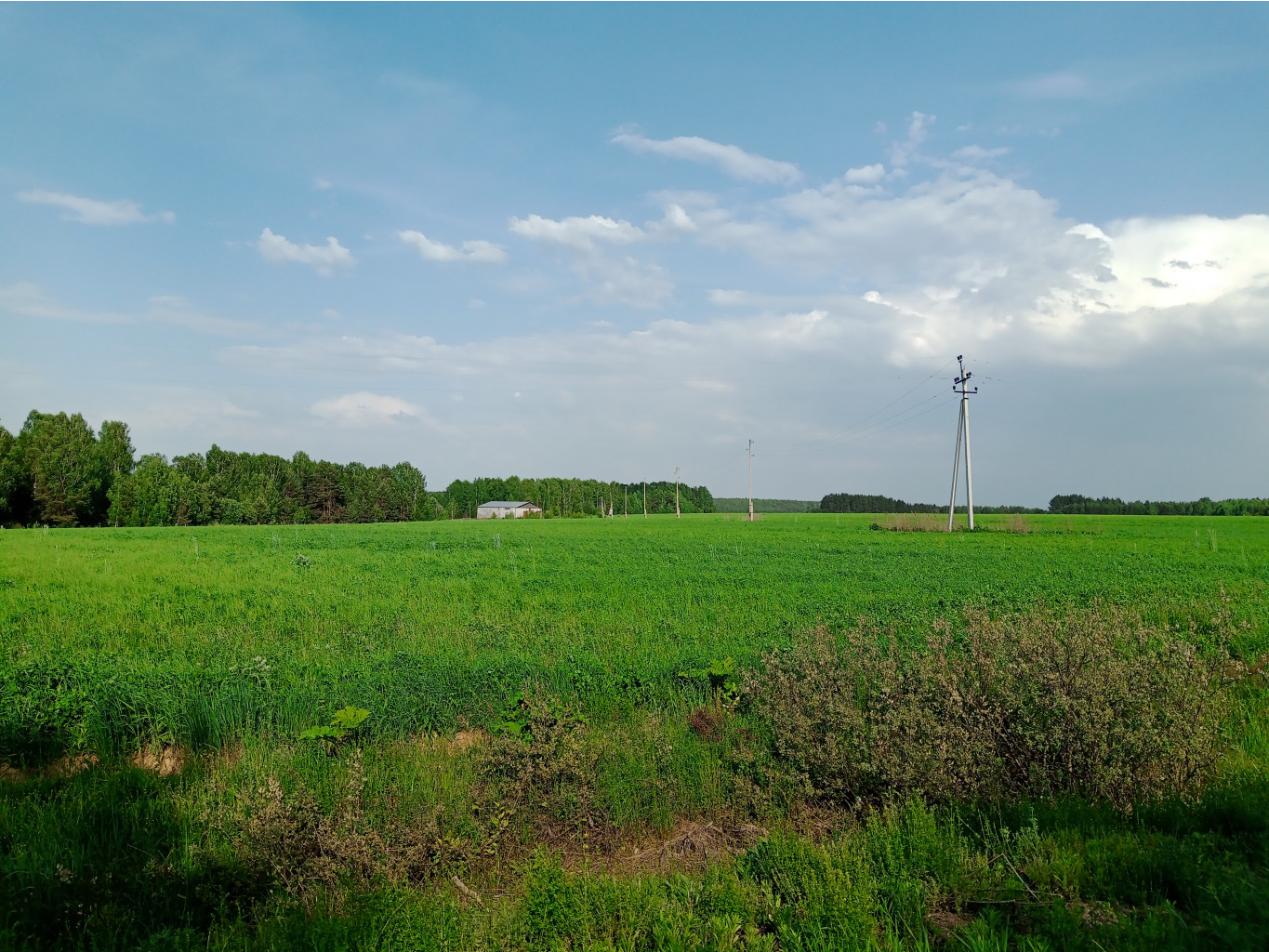 20250531 -400  161721.jpg