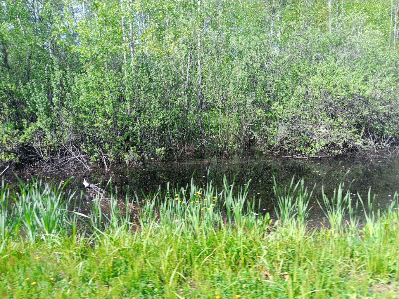 20250531 -400  133922.jpg