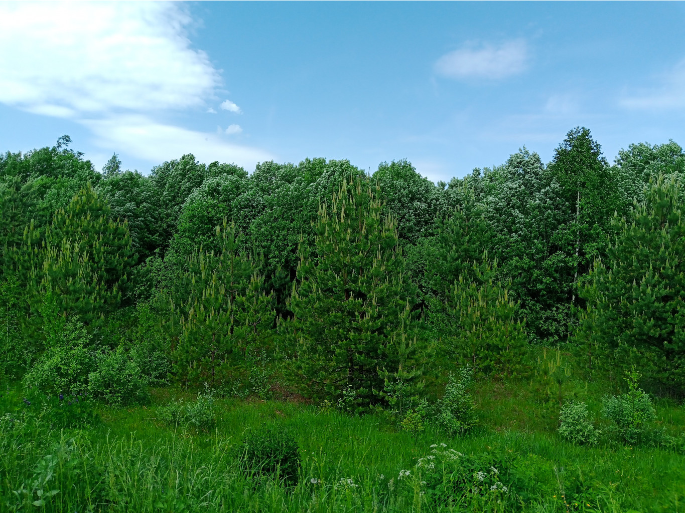 20250531 -400  131449.jpg