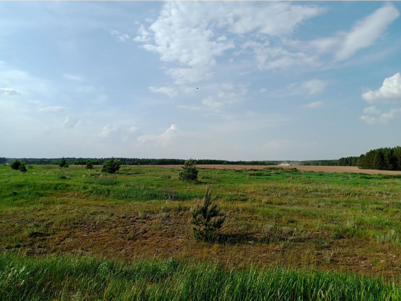 20250531 -400  165254.jpg