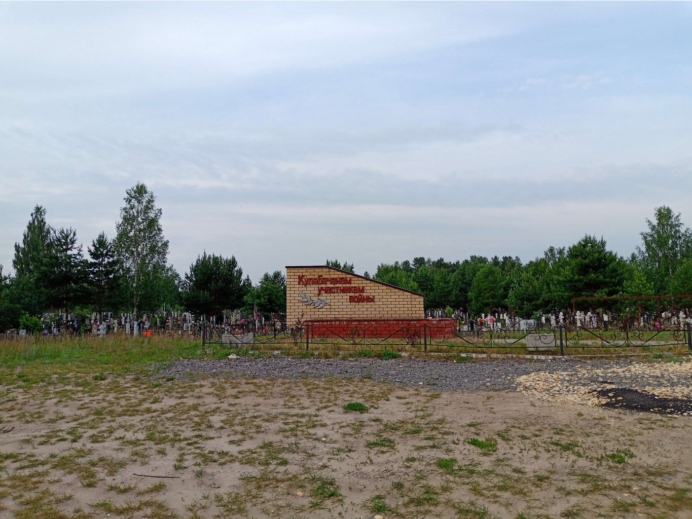 20250613 -600  055456.jpg