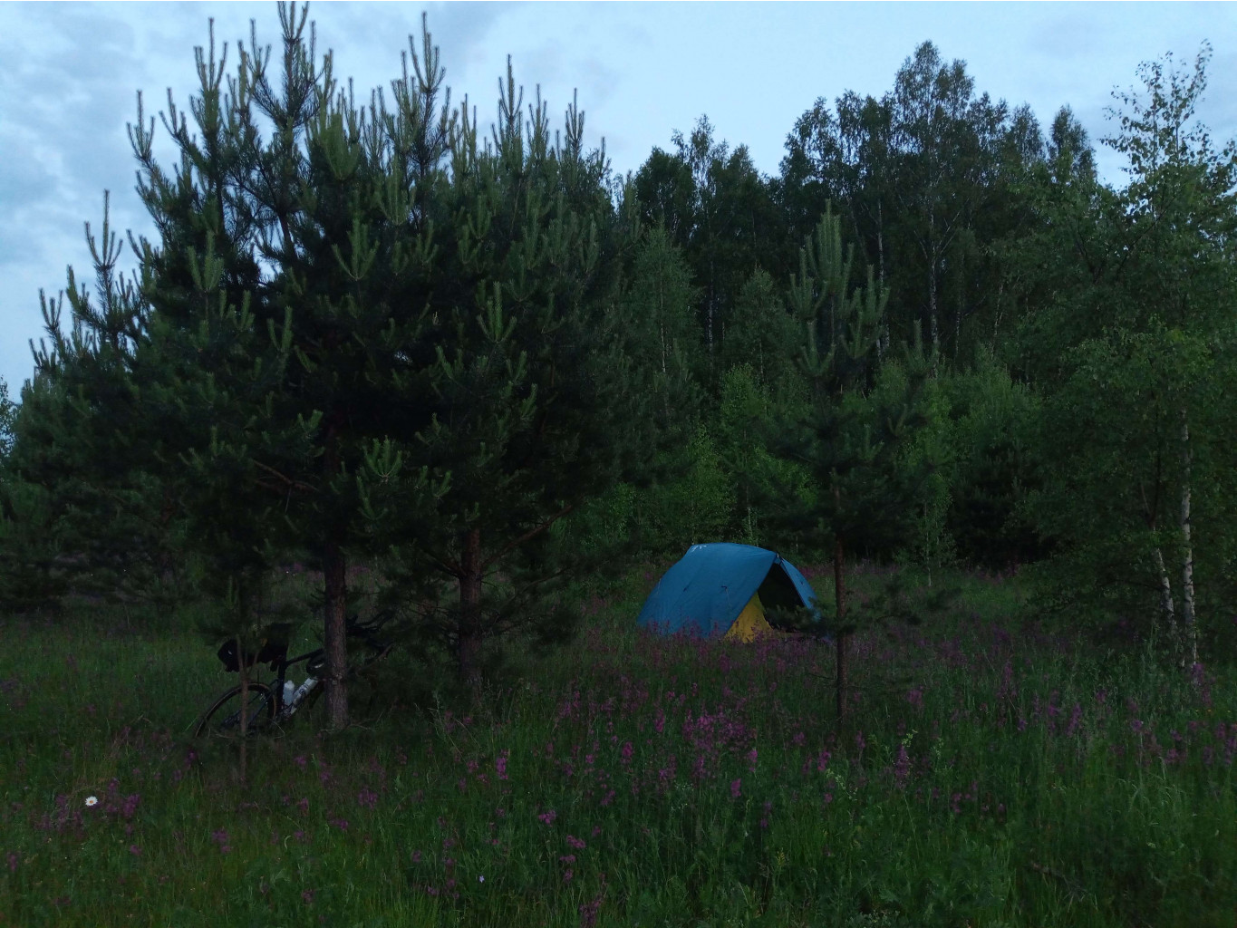20250612 -600  205953.jpg
