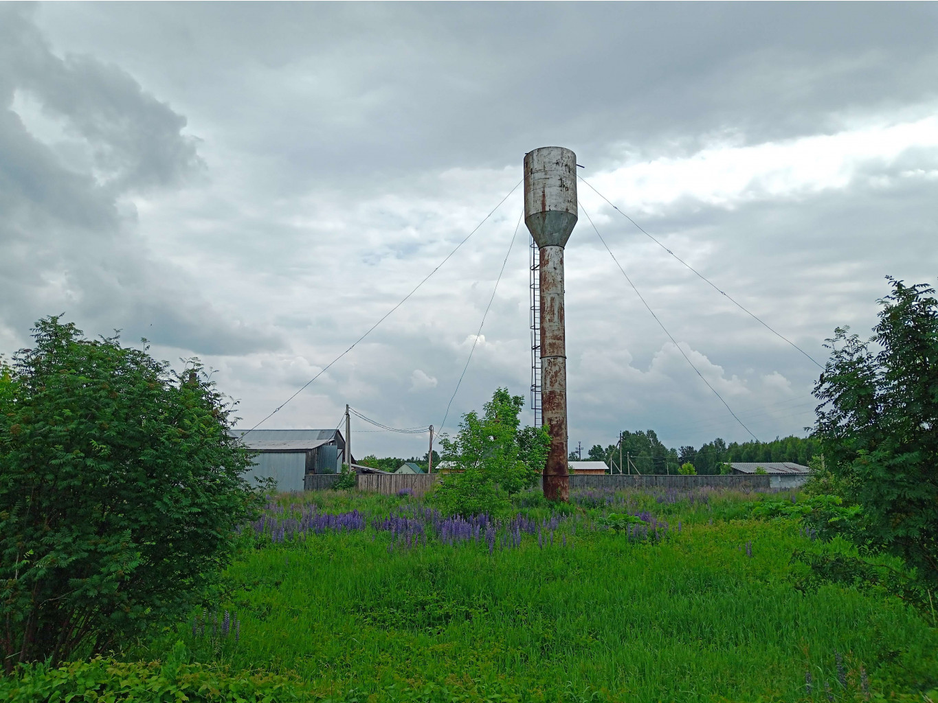 20250613 -600  113330.jpg