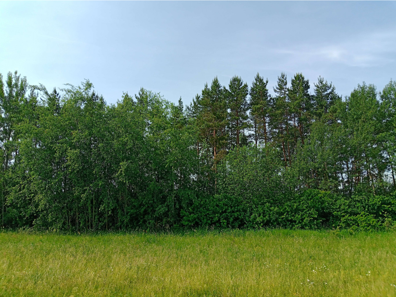 20250612 -600  093657.jpg