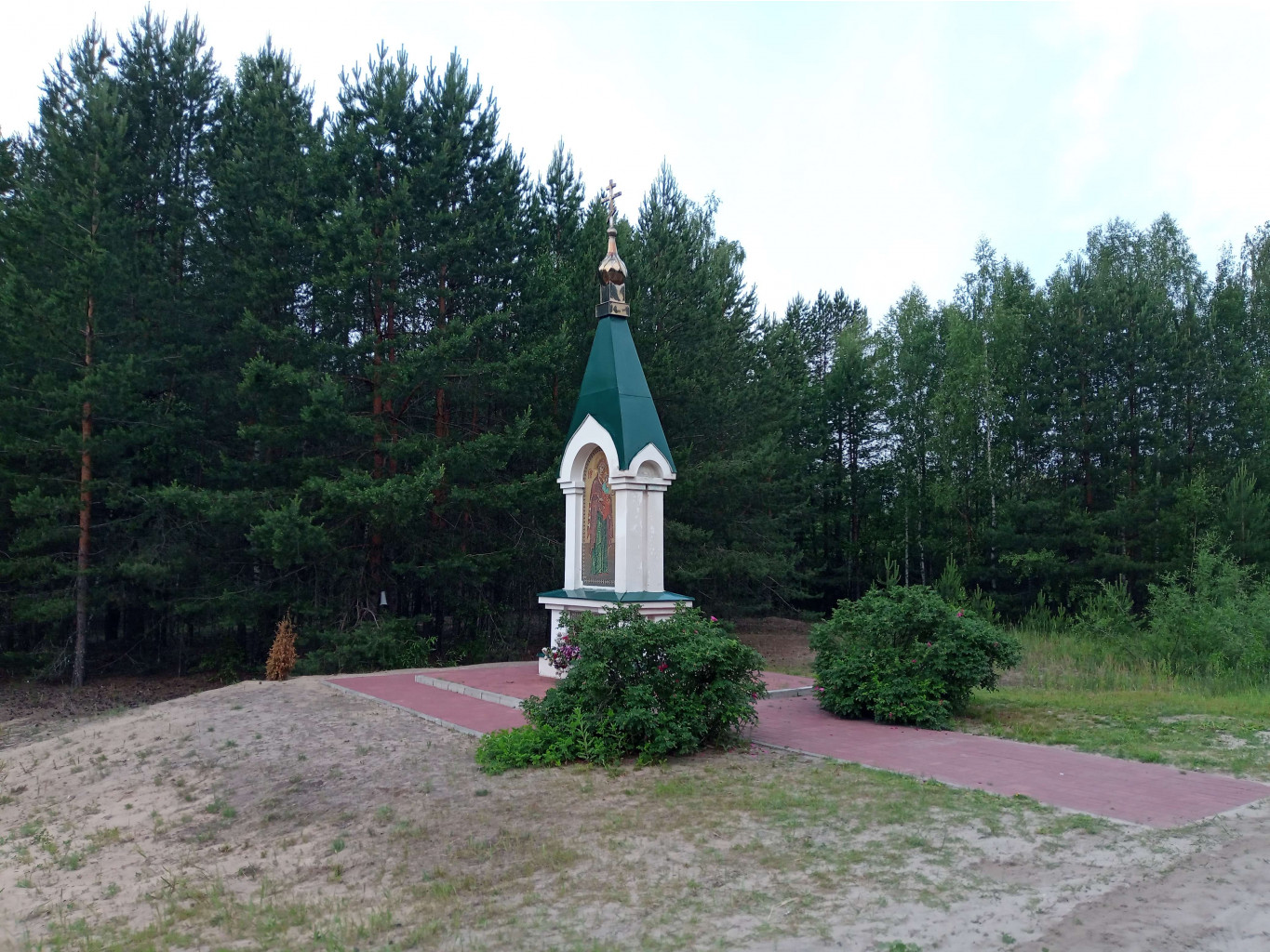 20250613 -600  063348.jpg