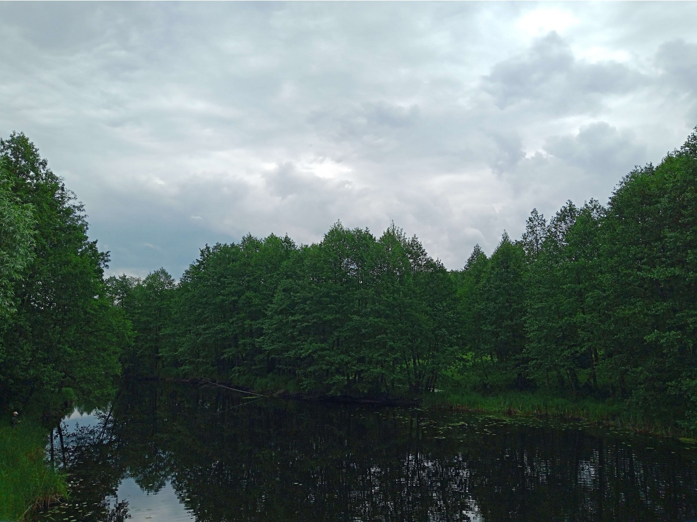 20250613 -600  115521.jpg