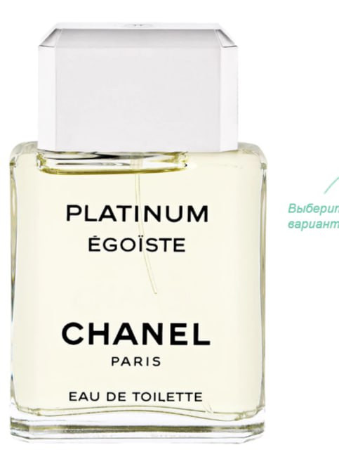 CHANEL Egoiste Platinum 100
