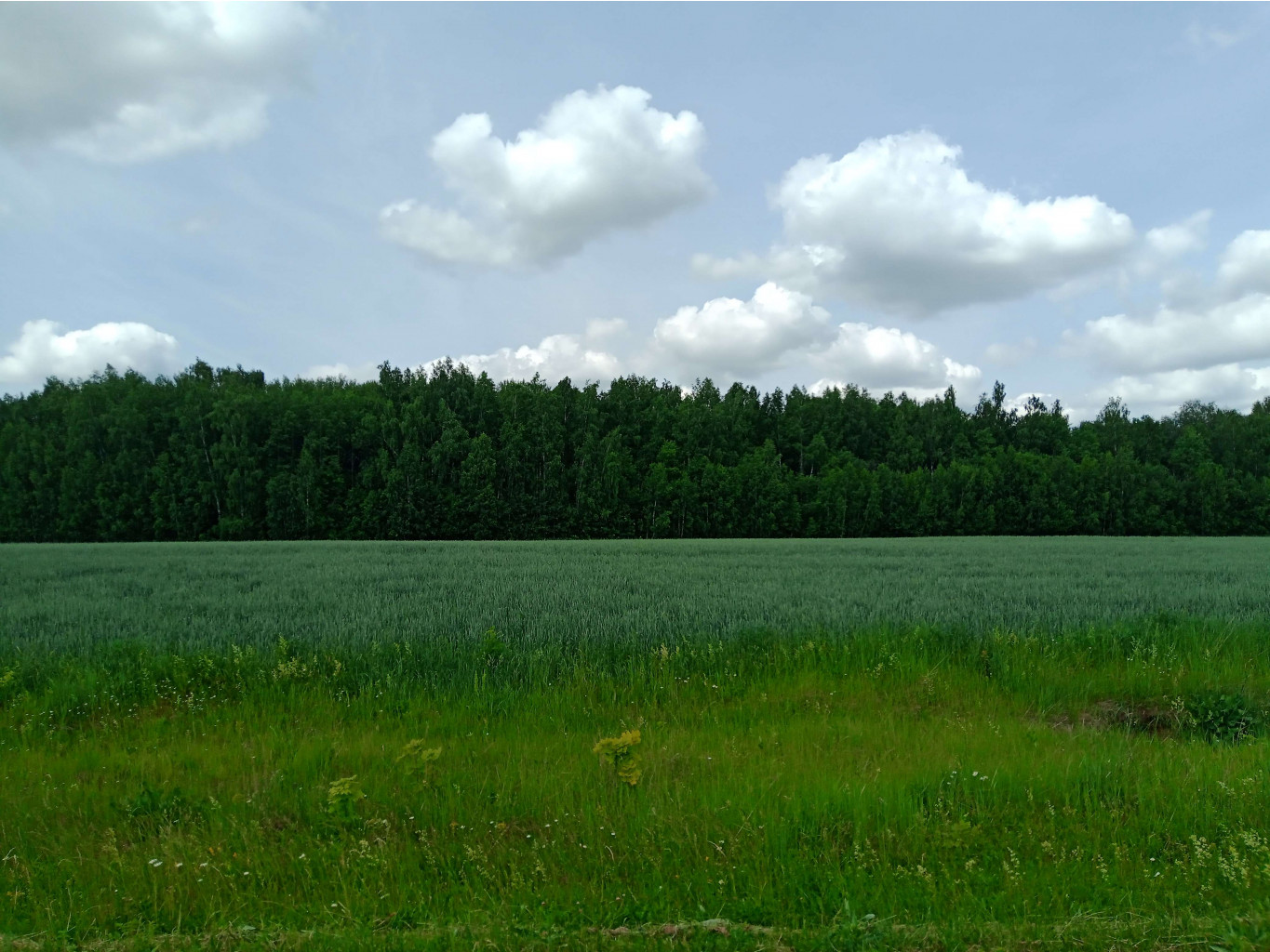20250612 -600  122359.jpg